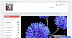 Desktop Screenshot of legrenierdubienetre.fr